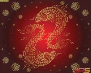 ผลิต wallpaper ตกแต่งภายใน