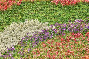 พิมพ์ ภาพศิลปะ ผ้าCanvasเต็มผนัง