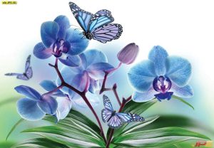 ปริ้นวอลเปเปอร์มาตรฐานส่งออก